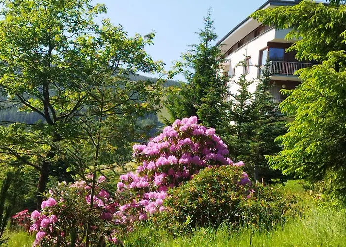 3k Michael Apartman *